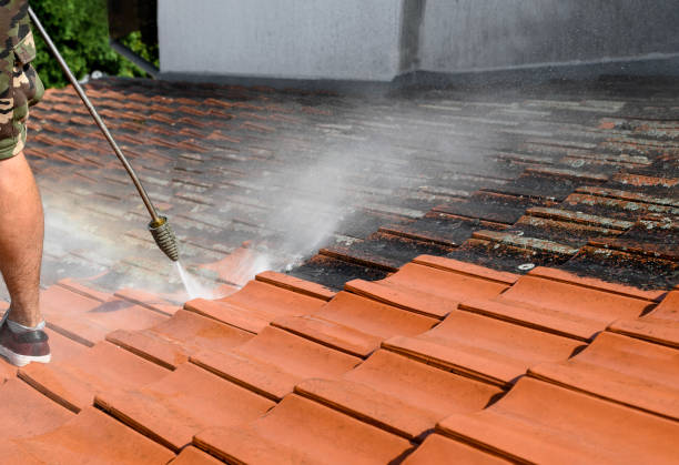 Best Exterior Home Cleaning  in Lincoln Heights, OH